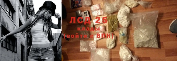 таблы Гусев