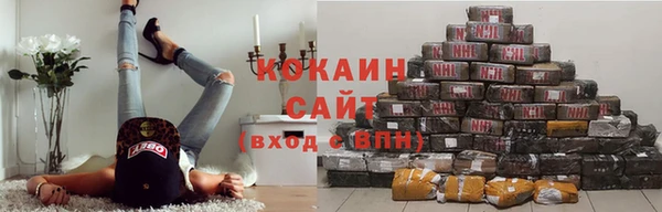 таблы Гусев
