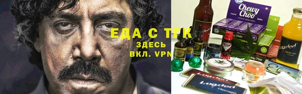 таблы Гусев