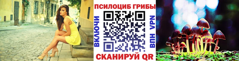 Псилоцибиновые грибы Cubensis  купить   Николаевск 